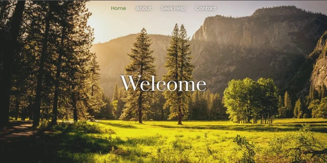 Psychotherapist Site illustrative cover